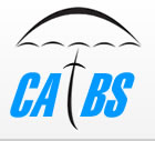 Common Accounting Business Services
